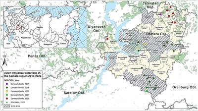 A highly pathogenic avian influenza virus H5N1 clade 2.3.4.4 detected in Samara Oblast, Russian Federation